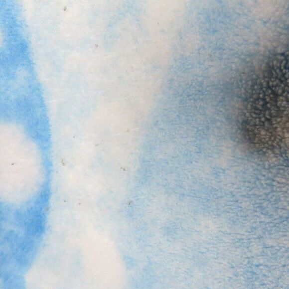 Disney Tinker Bell  Fleece Throw Blanket Plush Lap 46x56 Rectangular Super Soft - Picture 5 of 10